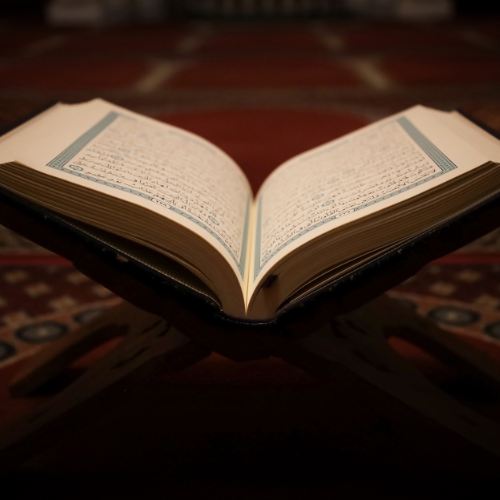 فضل العلم والتعلم في الدين