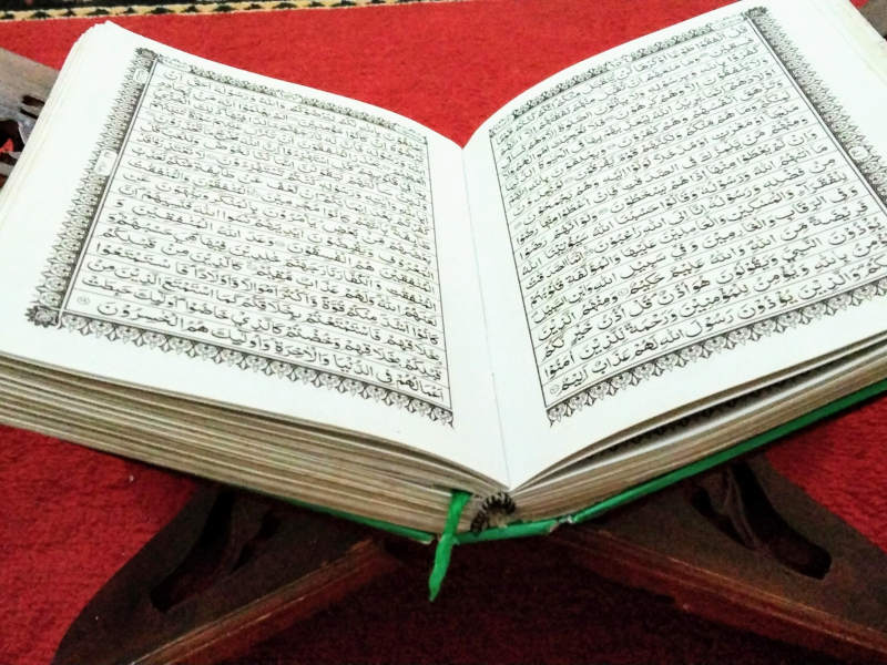 تصميم بدون عنوان (2)