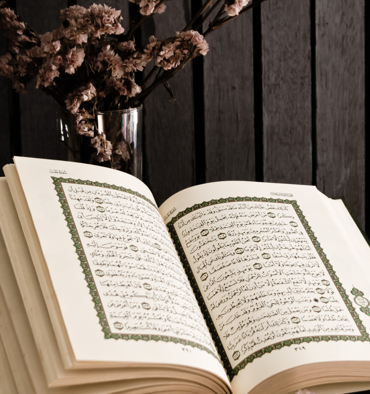 تصميم بدون عنوان (4)